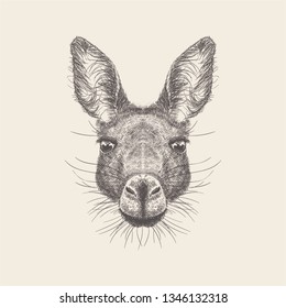 Hand drawn vector of donkey head Illustration.