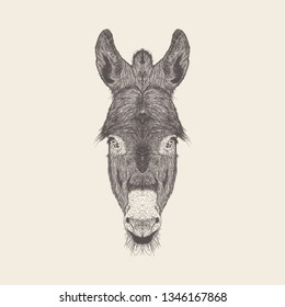 Hand drawn vector of donkey head Illustration.