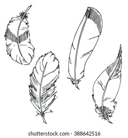 Hand drawn vector doodle Feathers. sketch for adult antistress coloring page, tattoo, poster, print, t-shirt, invitation, cards, banners, flyers, calendars