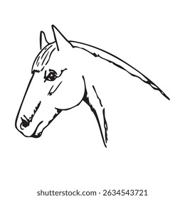Hand drawn vector doodle of horse, wild west mustang. Line art illustrations