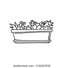 Hand drawn vector doodle illustration pot with flowers isolated on white background. Design for social media, web, cards, textiles, wrapping paper, packaging, prints, coloring book