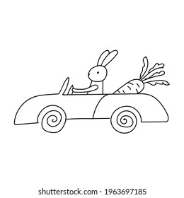 Hand drawn vector doodle illustration isolated on white background. Cute little rabbit, hare or bunny drives a car with carrot. Black outline image for kids design.