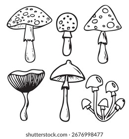 Doodle de Vector dibujado a mano de setas
