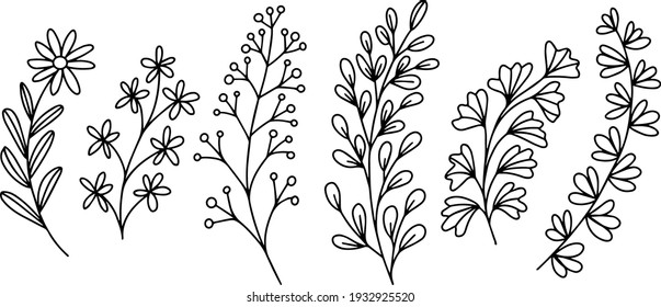Handgezeichnete Vektorgrafik von Doodle-Pflanzen. Stockillustration für Blumenskizze. 