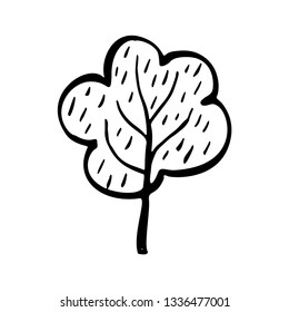 Hand drawn vector doodle trees. Simple nature isolated design element. 