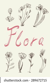 Hand drawn vector doodles. Abstract flower set. line art.