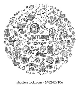 Hand drawn vector doodles. Set of isolated autumn objects.