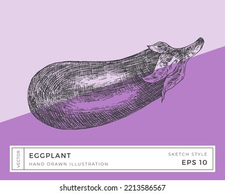 Hand Drawn Vector Eggplant Vegetable Illustration. Vegan Based Food Drawing with Colorful Background. Isolated