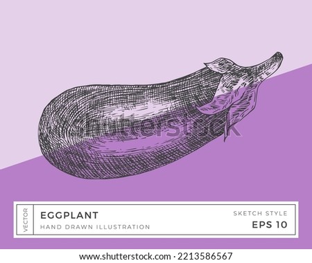 Hand Drawn Vector Eggplant Vegetable Illustration. Vegan Based Food Drawing with Colorful Background. Isolated