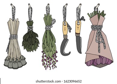 Hand drawn vector element. Illustration for magic, aroma ceremony & herbal medicine. Colorful  image. Bunch of dried herbs. Occult & Wicca