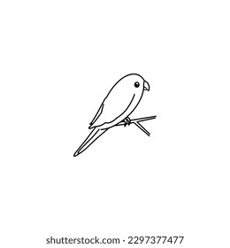 Hand drawn vector element isolated on white background. A budgie