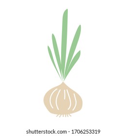 Hand drawn vector element - onion