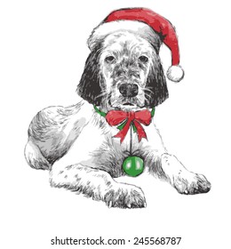 hand drawn vector of English setter with christmas hat on white background