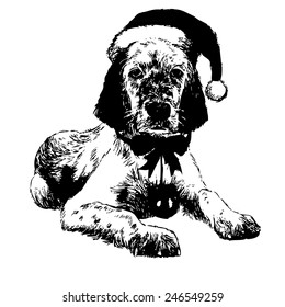 hand drawn vector of English setter with christmas hat on white background