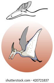 Hand drawn. Vector EPS 10. Sketch illustration of pterodactyl.