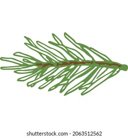 Hand Drawn Vector Evergreen Spruce or Pine Tree Branch Colorful Fir-needle Twig Sketch. Isolated.