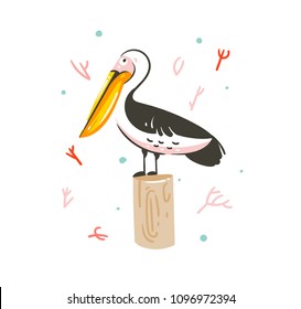 Hand drawn vector with exotic marine pelican bird isolated on white background.