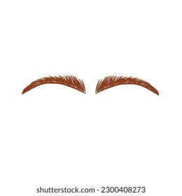 Hand drawn vector eyebrows,realistic and cartoon style,isolated on white background 
vector illustration eps10