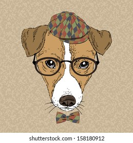 Hand Drawn Vector Fashion Portrait of Jack Russell Terrier