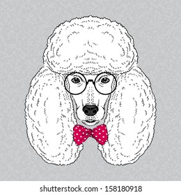 Hand Drawn Vector Fashion Portrait of Poodle