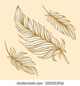 Hand drawn vector feathers set