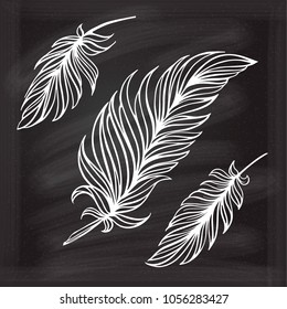 Hand drawn vector feathers set on a chalkboard background