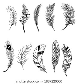 Hand drawn vector feathers set isolated on white background.