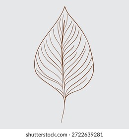 Mão desenhado arquivo vetor rosto masculino e feminino e coisa diferente ilustração arquivo EPS para download