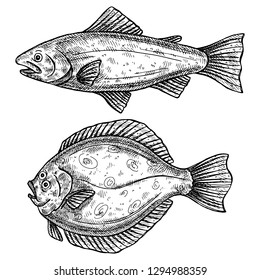 Hand drawn vector fish.