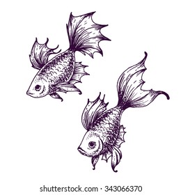 Hand drawn vector fish sketch