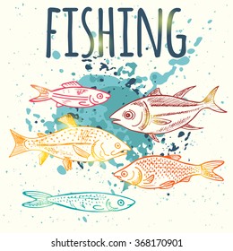 Hand drawn vector fishing card. Different fish - carp, seabass, salmon, sardina, crucian.