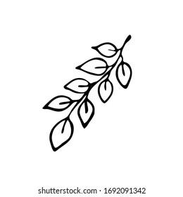 Hand drawn vector flora emblem isolated on white background. Black line organic illustration. Simple vector plant shoot icon. Important nutrition element image.