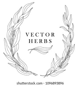 Hand drawn vector floral decor elements. Wedding wreath of herbs and branches, cute design.