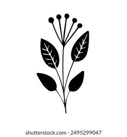 Hand drawn vector floral element clip art. Isolated on white background illustration for design, decoration, printing.