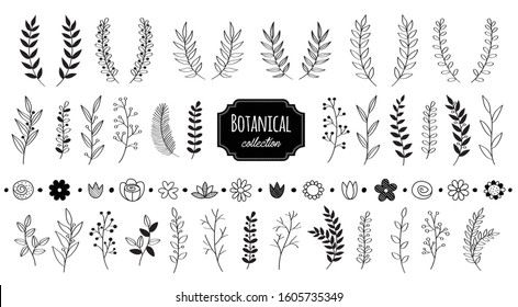 Hand drawn vector floral elements. Branches and leaves. Herbs and plants collection. Vintage botanical illustrations. 