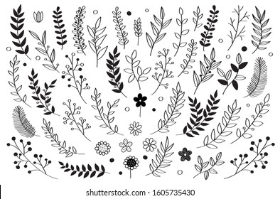 Hand drawn vector floral elements. Branches and leaves. Herbs and plants collection. Vintage botanical illustrations. 