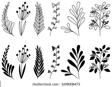 Hand drawn vector floral elements (leaves, flowers, branches). Botanical illustration. Suitable for wedding invitations, greeting cards, quotes, blogs, frames.