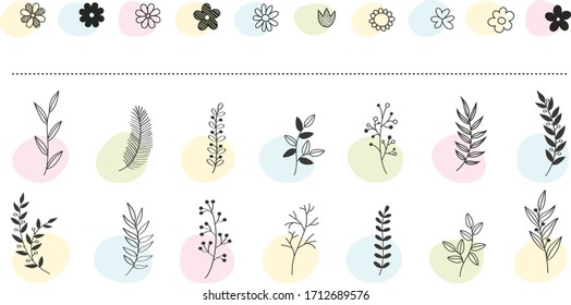 Hand drawn vector floral elements. Branches and leaves colors. Herbs and plants collection. Vintage botanical illustrations.