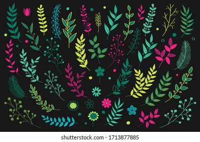 Hand drawn vector floral elements. Branches and leaves colors.
