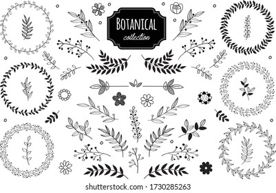 Hand Draw Flower Elements Set Can Stock Vector (Royalty Free) 293636483