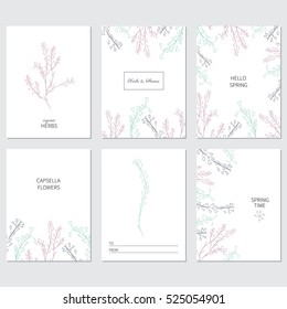 Hand drawn vector floral frame, Capsella flower, Shepherd's purse, Capsella bursa-pastoris, the entire plant, decorative label, greeting card, ink sketch isolated on white backdrop for design cosmetic