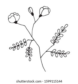 Hand drawn vector floral single element. Black outlines isolated on white background. Doodle style illustration. Vintage decoration for greeting cards, gifts, wrapping paper etc.
