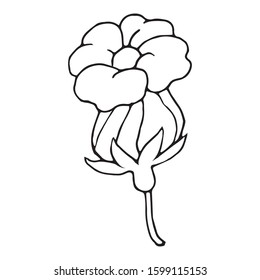 Hand drawn vector floral single element. Black outlines isolated on white background. Doodle style illustration. Vintage decoration for greeting cards, gifts, wrapping paper etc.