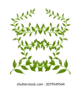 Hand drawn vector floral wreath with leaves for decorative elements for design.	
