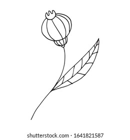 Hand drawn vector flower. Black outlines isolated on white.Scandinavian style. Element for design postcards, scrapbooking, coloring book page for children or adult.