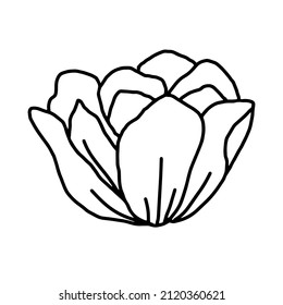 Hand drawn vector flower drawing. Decorative elements for design. Isolated on a white background. Ornament for embroidery, postcards and invitations