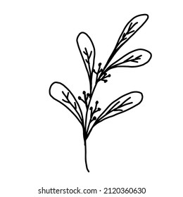 Handgezeichnete Vektorblumenzeichnung. Dekorative Elemente für Design. Einzeln auf weißem Hintergrund. Ornament für Stickereien, Postkarten und Einladungen