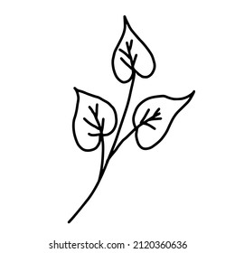 Hand drawn vector flower drawing. Decorative elements for design. Isolated on a white background. Ornament for embroidery, postcards and invitations