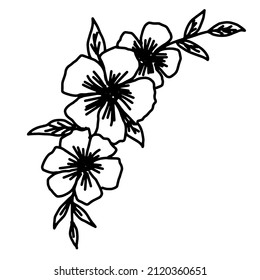 Dibujo manual de flores vectoriales. Elementos decorativos para el diseño. Aislado sobre un fondo blanco. Ornamento para bordados, postales e invitaciones