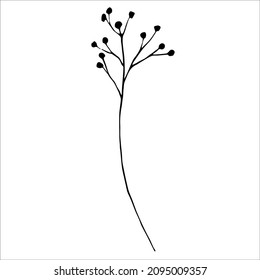 A hand drawn vector flower. Isolated on a white background drawing for prints, posters, moodboard, stationery, aesthetics of Provence. High quality doodle illustration